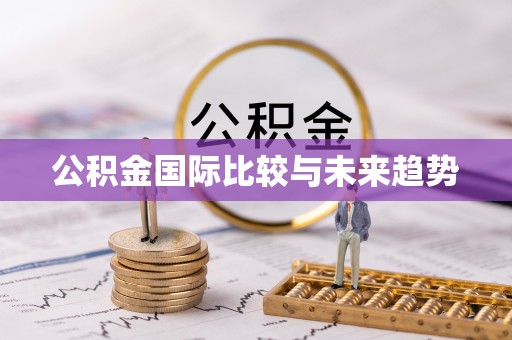 杜尔伯特公积金国际比较与未来趋势