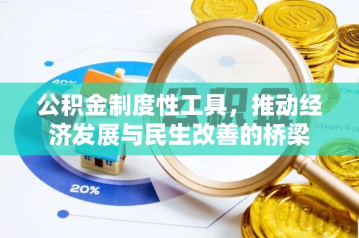 杜尔伯特公积金制度性工具，推动经济发展与民生改善的桥梁