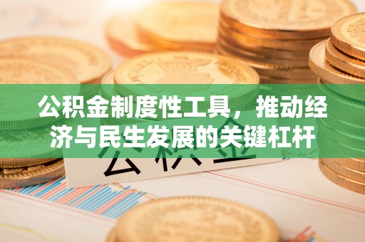 杜尔伯特公积金制度性工具，推动经济与民生发展的关键杠杆