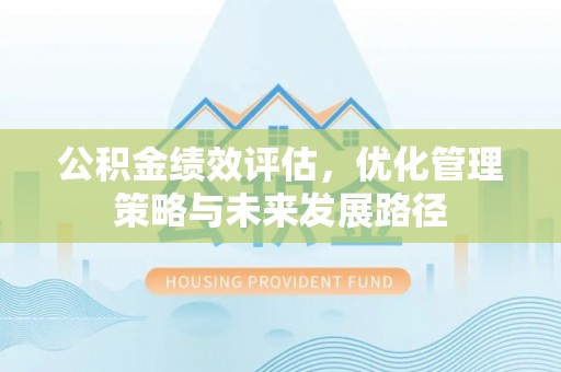 杜尔伯特公积金绩效评估，优化管理策略与未来发展路径