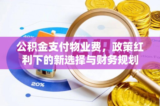 杜尔伯特公积金支付物业费，政策红利下的新选择与财务规划