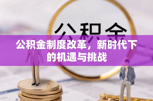 杜尔伯特公积金制度改革，新时代下的机遇与挑战