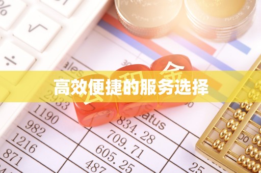 杜尔伯特高效便捷的服务选择