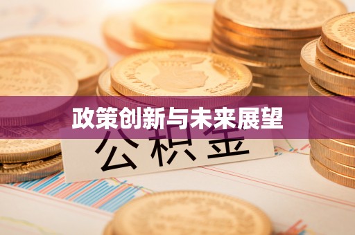 杜尔伯特政策创新与未来展望